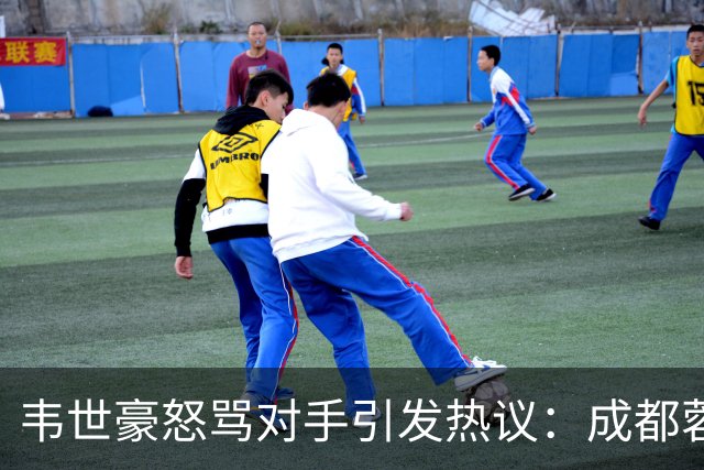韦世豪怒骂对手引发热议：成都蓉城足协杯出局输球又输人