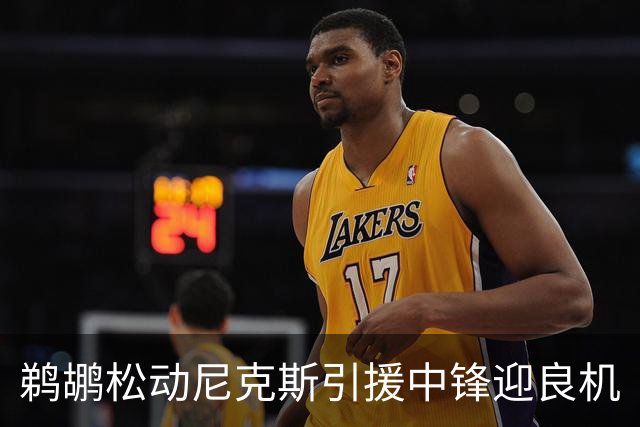 鹈鹕松动尼克斯引援中锋迎良机